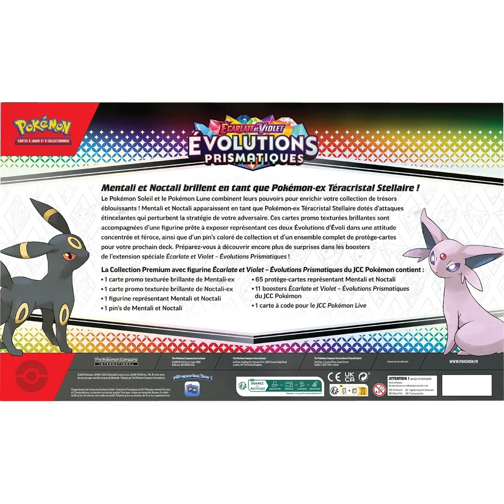 Coffret premium avec figurine5.webp