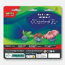 Duopack-Rafflesia-Pokemon-EV06-EV01 back.webp
