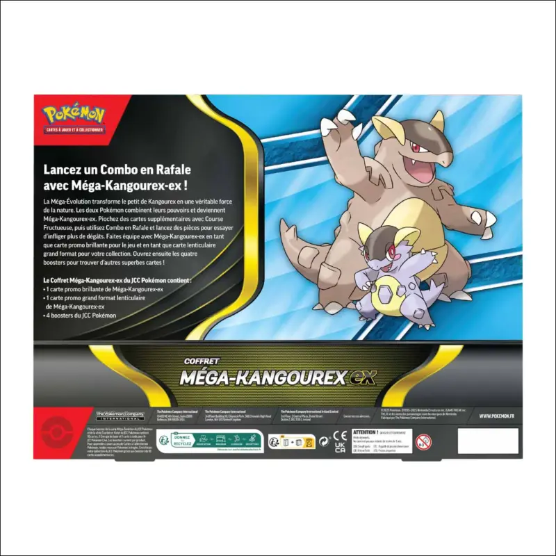 COFFRET MEGA KANGOUREX 3.webp